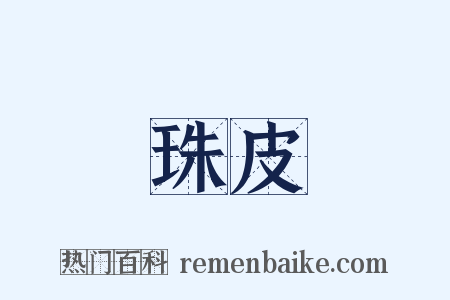 珠皮是什么意思的图片